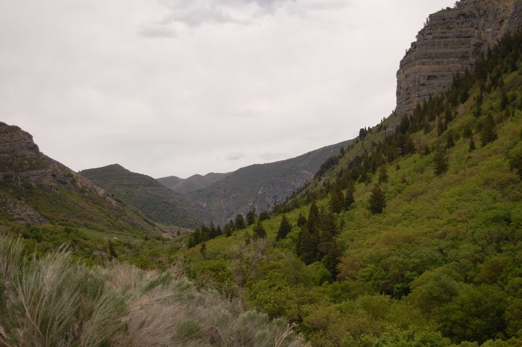 Provo Canyon By Chris Yoder by spiceupdinner