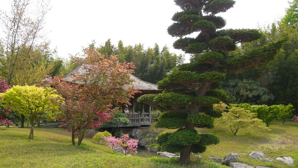 Le jardin Asiatique d'Anduze. Gard. by Michel  Piccoli