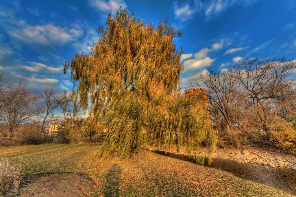 The Golden Tree by Janvitos