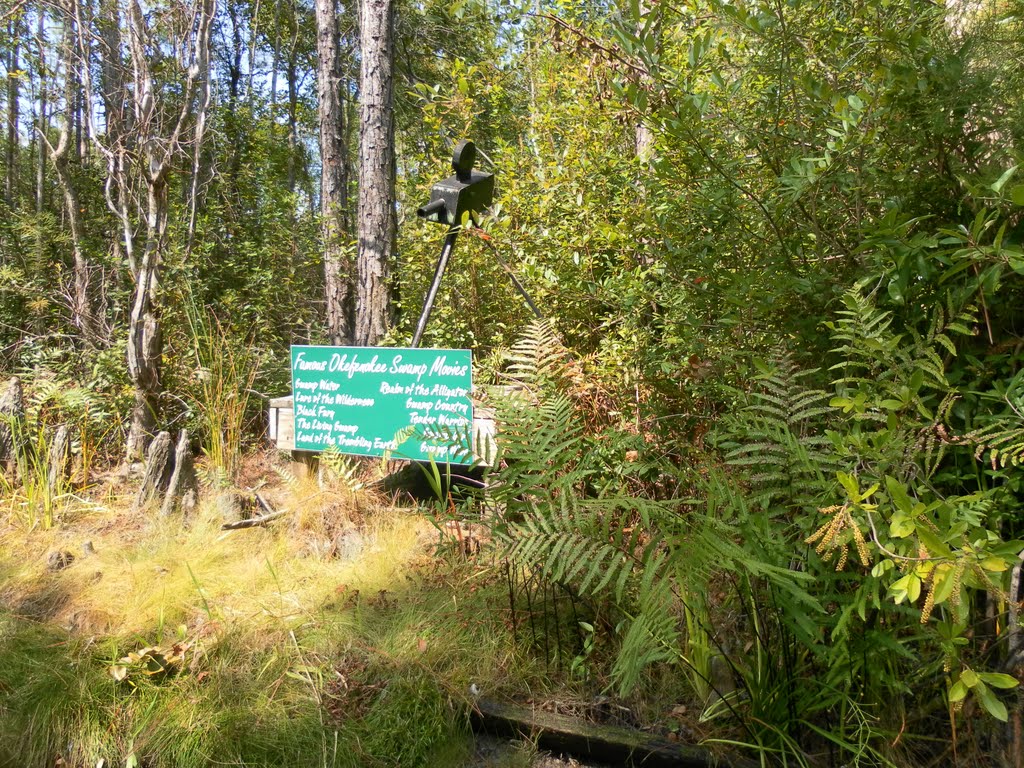 Okefenokee swamp park way cross ga by mechitafan