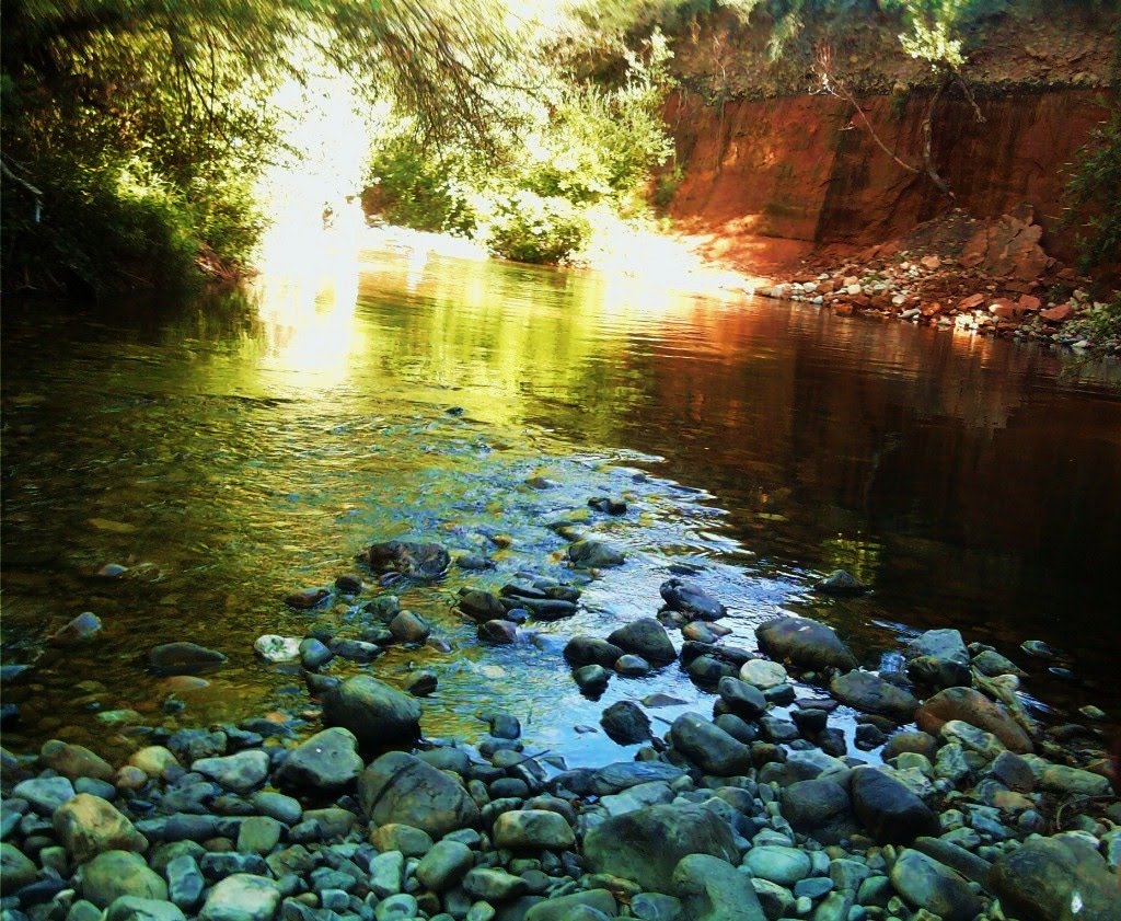 Rio boeza albares de la ribera by rosa ferrero