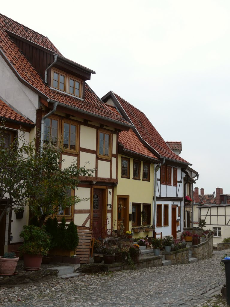 Germany_Saxony-Anhalt_Quedlinburg_Coin Hill (Münzenberg)_half-timbered houses_P1100142.JPG by George Charleston