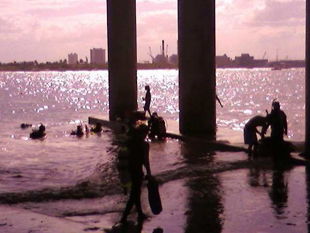 Scuba Diving At Blue Heron Bridge by spike6292