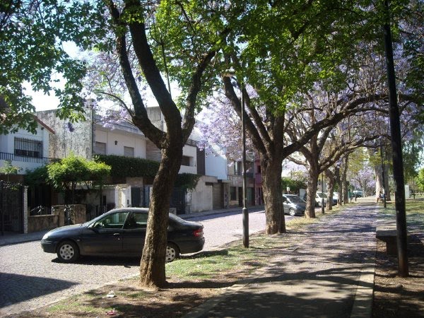 Calle Chacabuco en Parque Urquiza by Mario Pardo