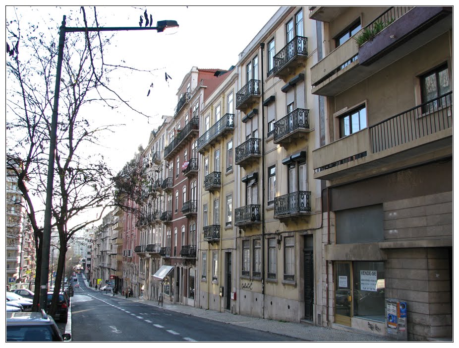 Avenida Duque de Loulé by André Barragon