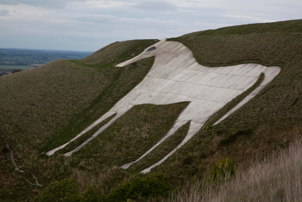 Westbury White Horse by northbynorthwest