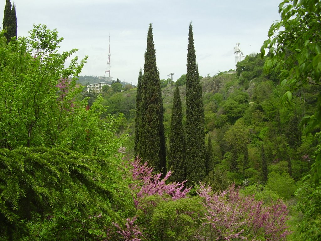 Tbilisi Botanical Garden by Maya Mamajanashvili