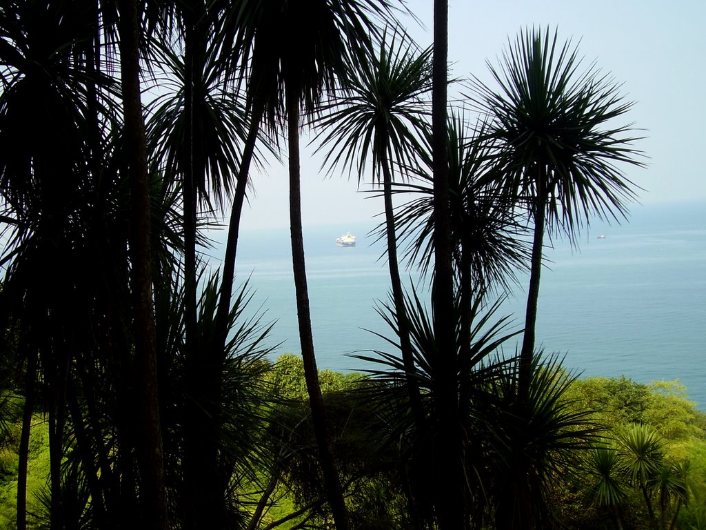 Batumi Botanical Garden by Maya Mamajanashvili