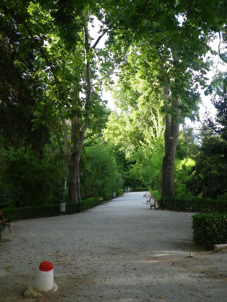 Alameda balneario de alhama by Juan rodriguez parra…