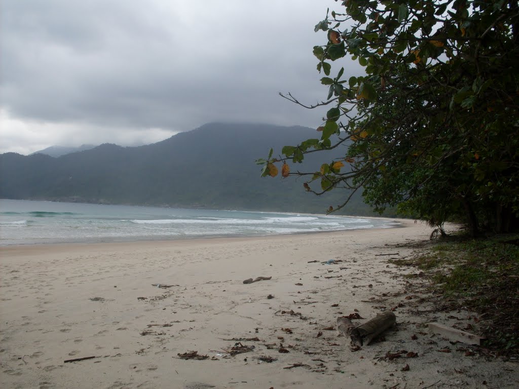 PRAIA DE LOPES MENDES by Denise de Oliveira F…