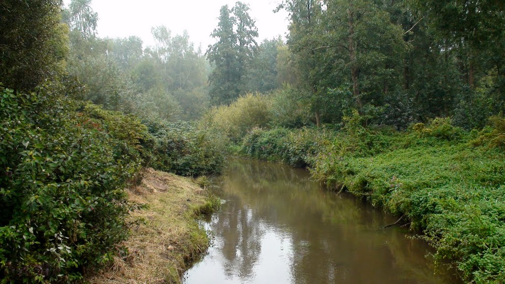 Die Hache in Syke im Mühlenteichpark by harro.kunz