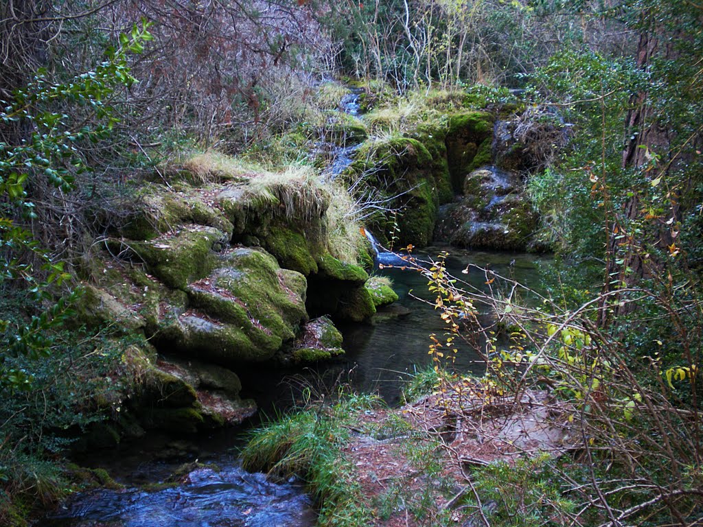 Río Cuervo by REYHEART