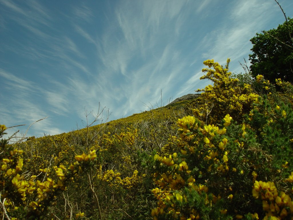 Bray head by MarekPisarczyk