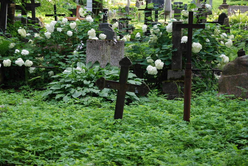 Bernardinai old cemetery by Renatorius (Reno)