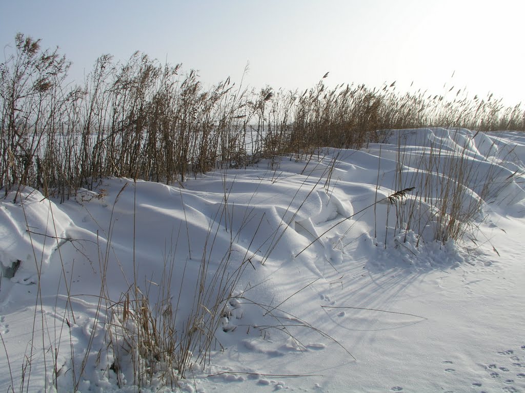 De oostoever van het Dijkstaalwiel na een sneeuwjacht by harry stam