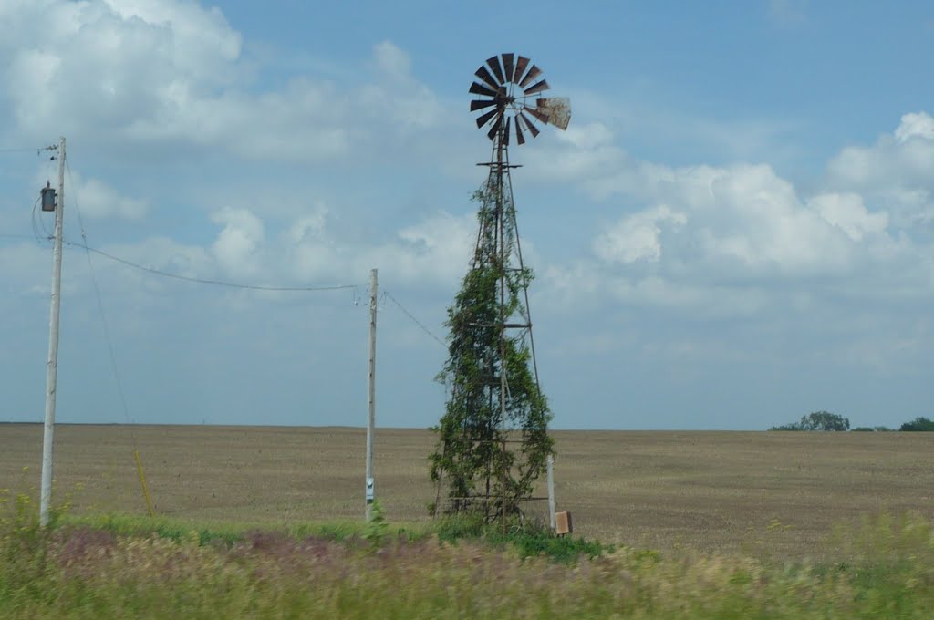 Windmill by Gabor Petro "mapex"