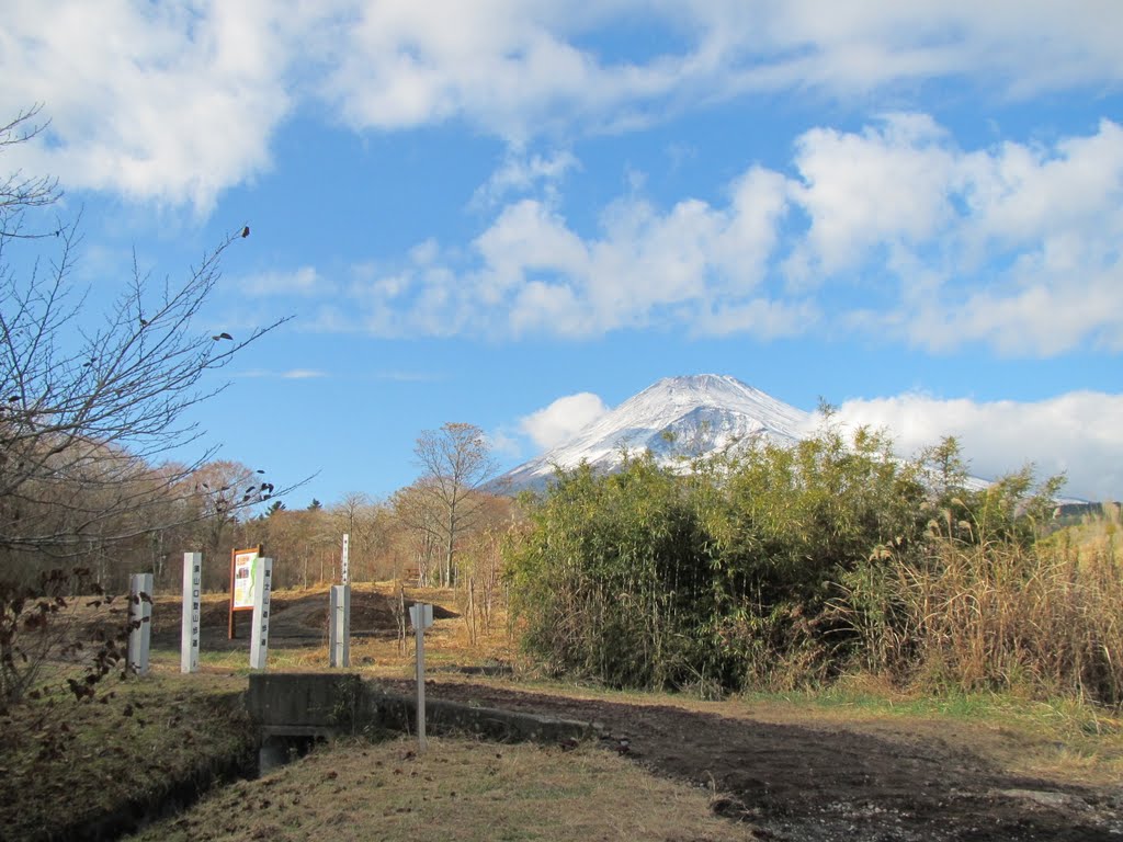 11/19/2010 Mt.Fuji Suyamaguchi by Naoki Miyoshi