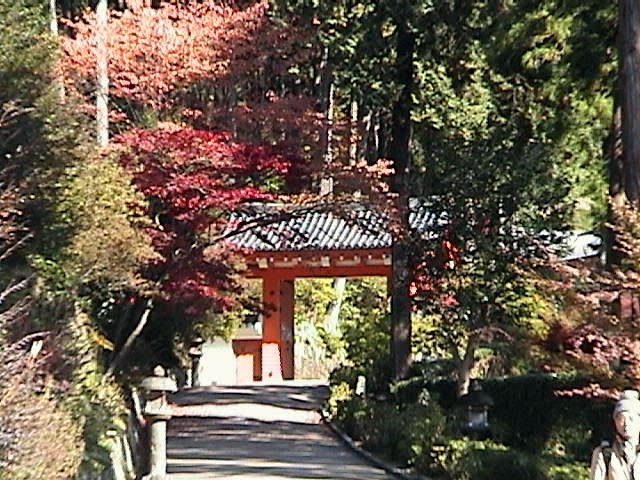 Entrance to Mimuroto-ji Temple. by Ross-Barry Finlayson…