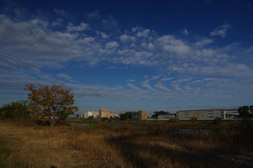 Tamagawa river on early winter 2010 by blue_Snow