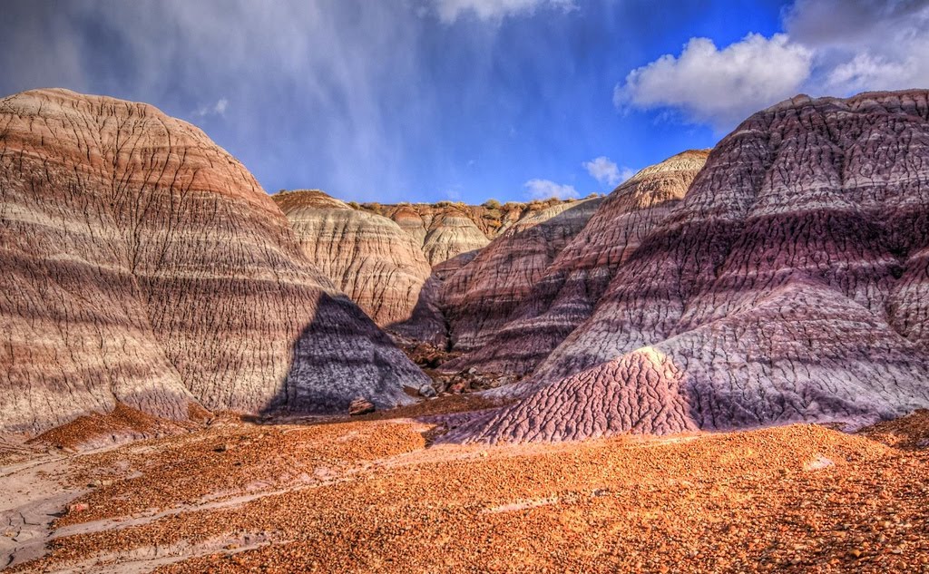 PAINTED FOREST, ARIZONA by Thomas Poscharsky