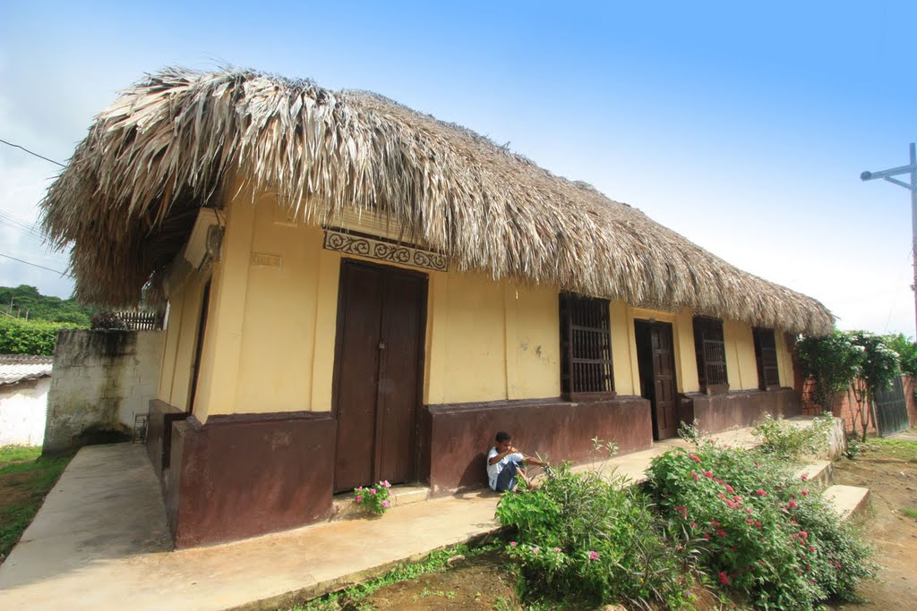 Casa con techo de palma Iraca by Edison Colina