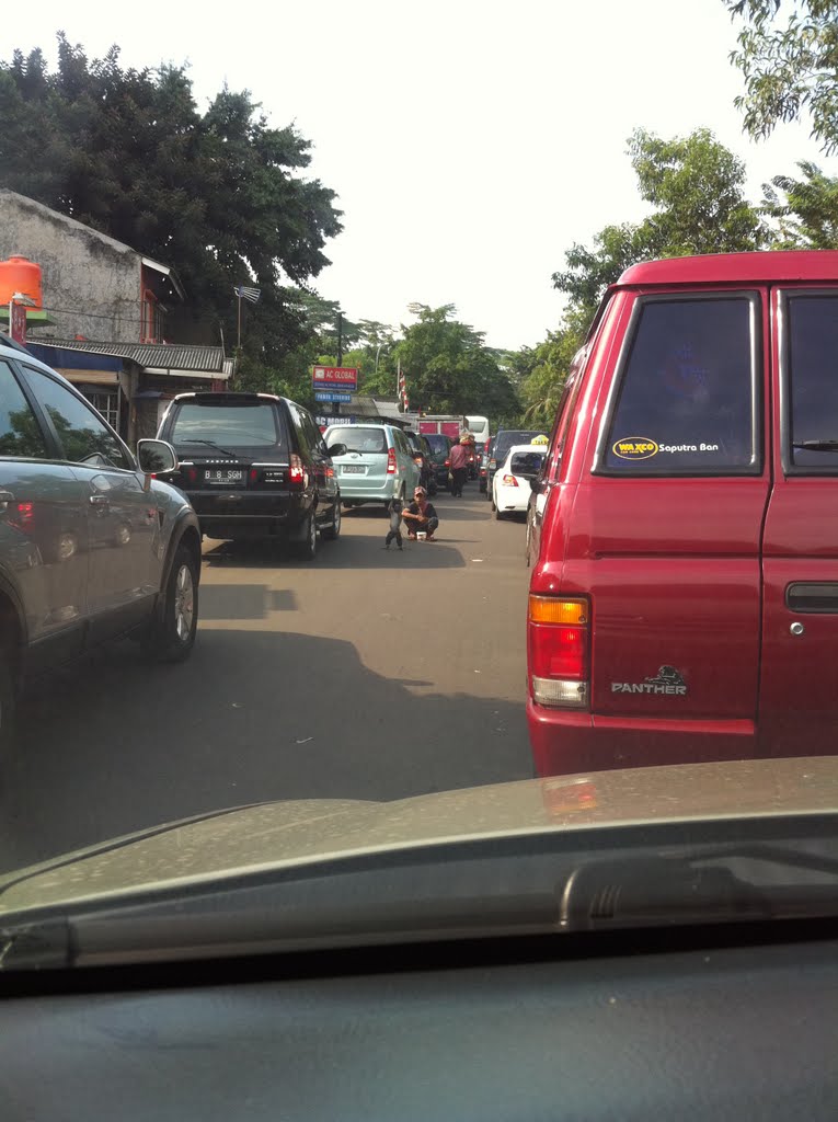 Monkey at main road by isuta