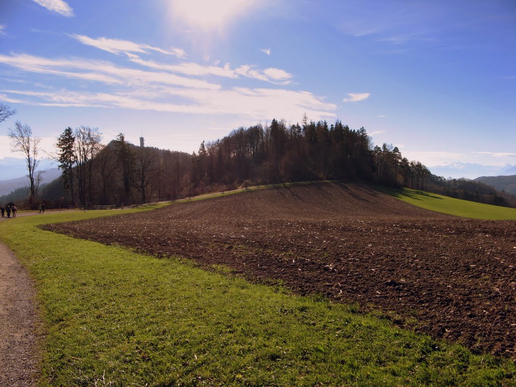 Il sentiero di crinale Uetliberg - Felsenegg by Claudio Pedrazzi