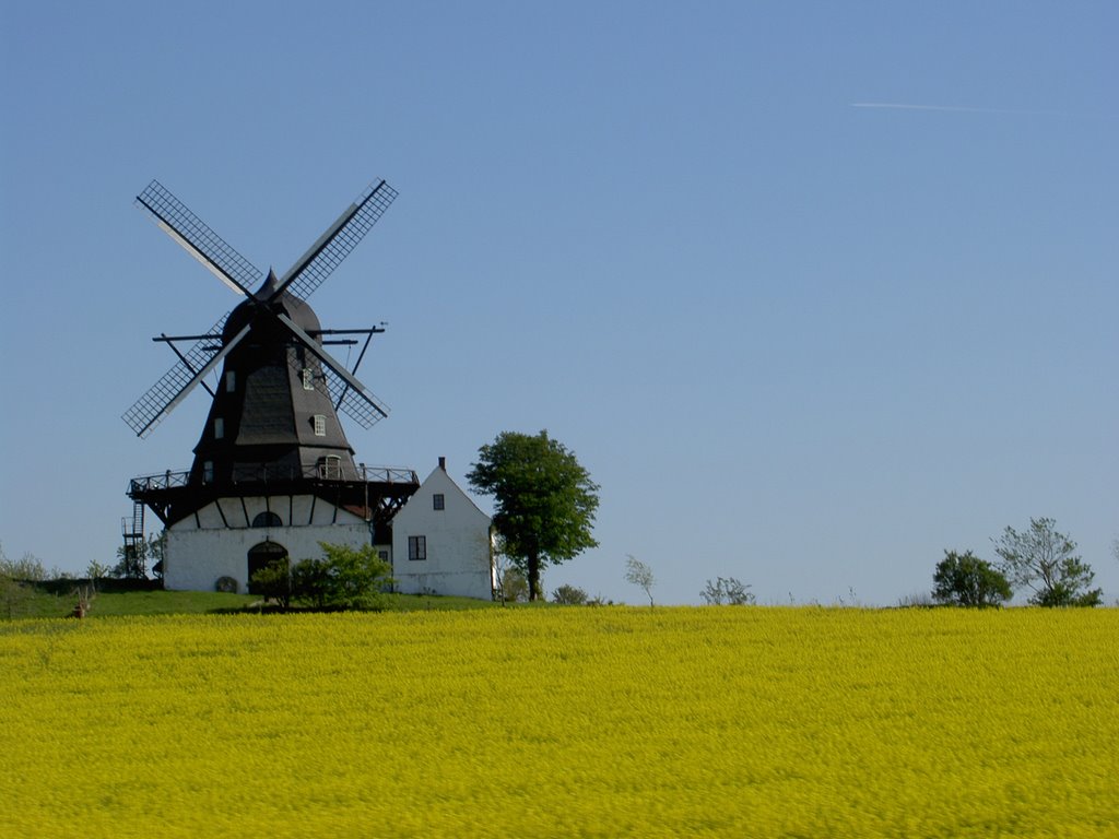 Windmill outside Malmo Sweden by ohaldar