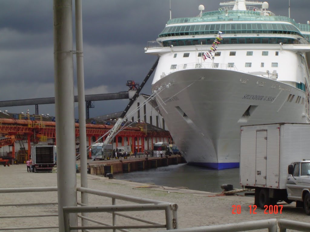 Splendour of the Seas by Pedro P. Ferreira