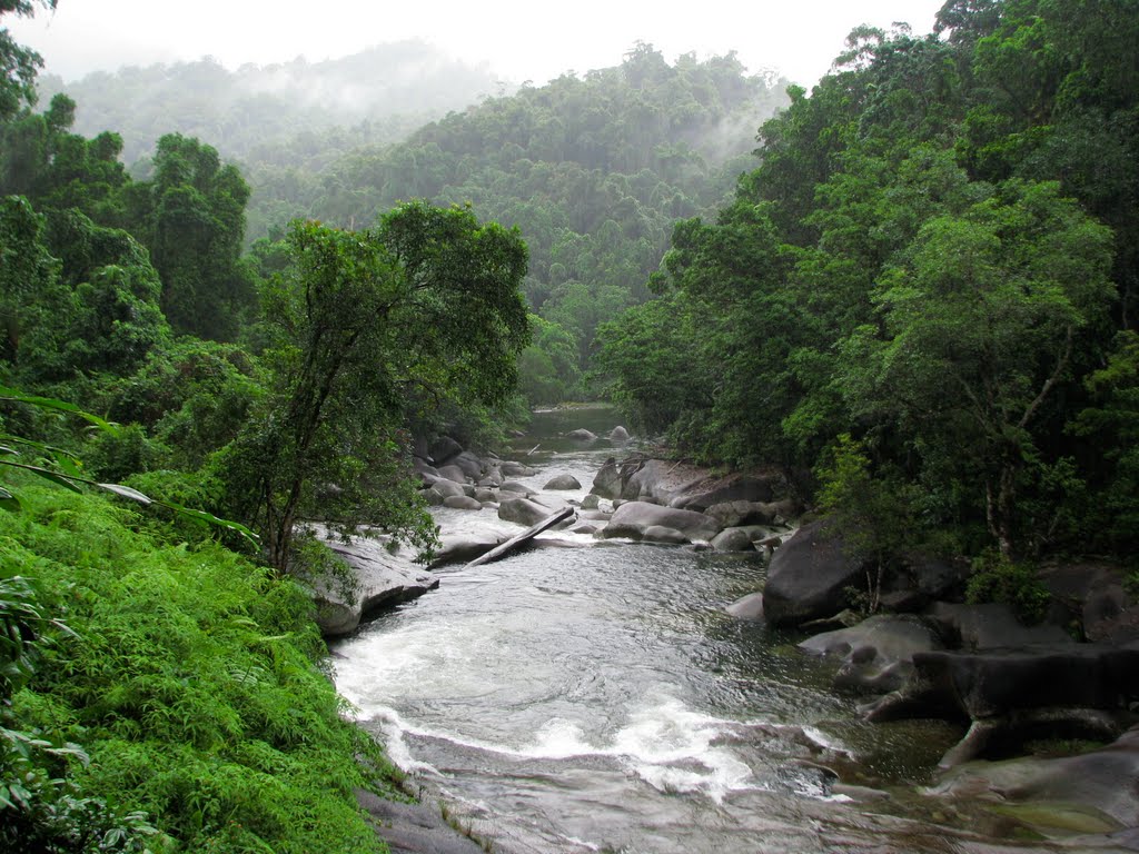 Babinda Creek Gorge by tanetahi