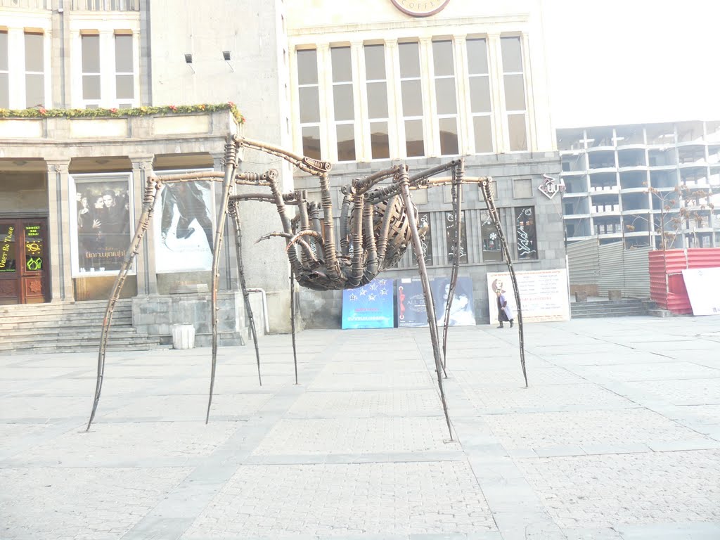 Spider by Vahan Hakobyan