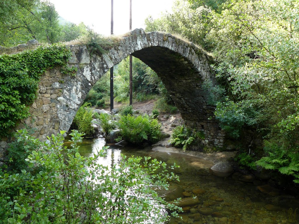 Pont Génois de Zipitoli by Roland Courtin