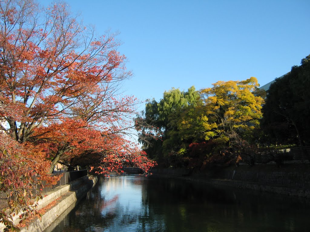 疎水　岡崎公園 by mariemon