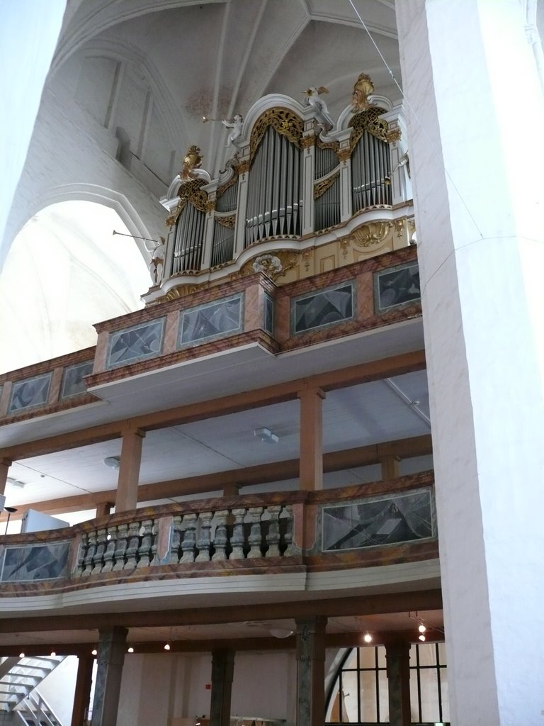 Cottbus-Oberkirche-Orgel by Robert elch