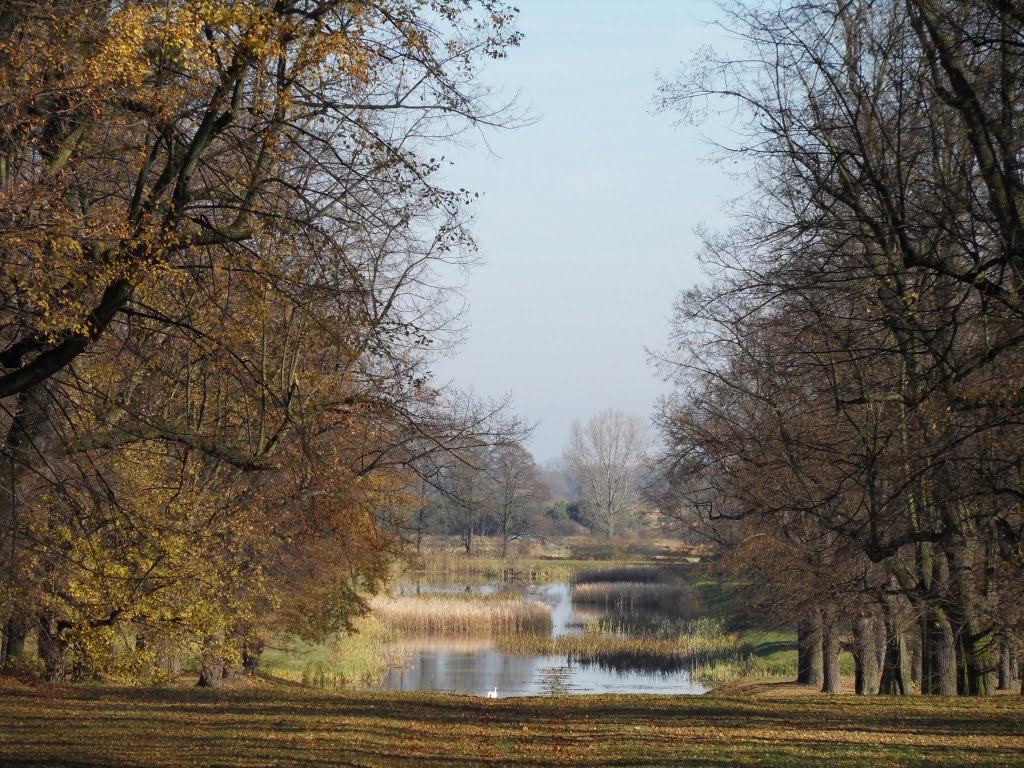 Wolbórz: staw w parku pałacowym by 3ddk