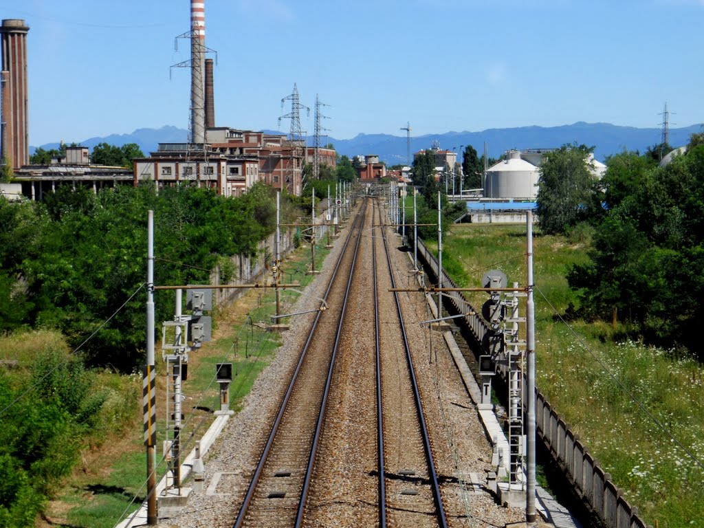 Parco villoresi by Cesare Riccardo