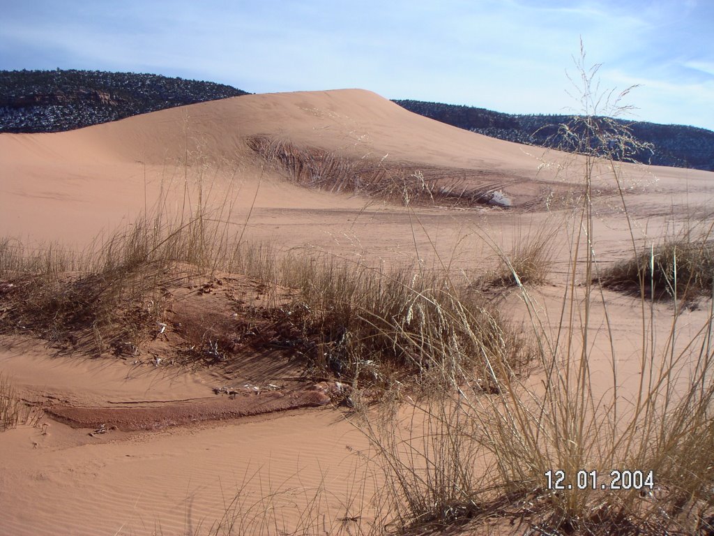 Pink Dunes Jan. 2004 by joe44