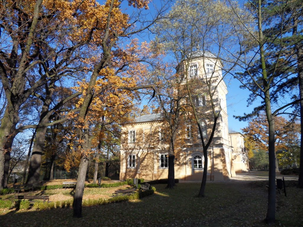 Tomaszów Mazowiecki: Pałac Ostrowskich - Muzeum im. hr. Antoniego Ostrowskiego by 3ddk