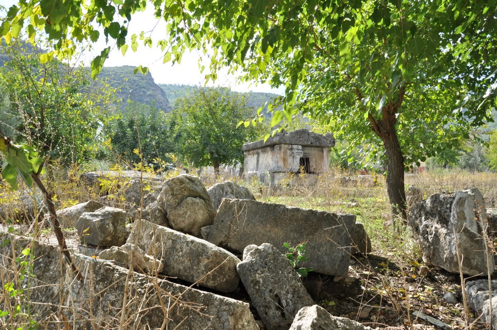 Lycian Tomb / October 29, 2010 by ksaricali