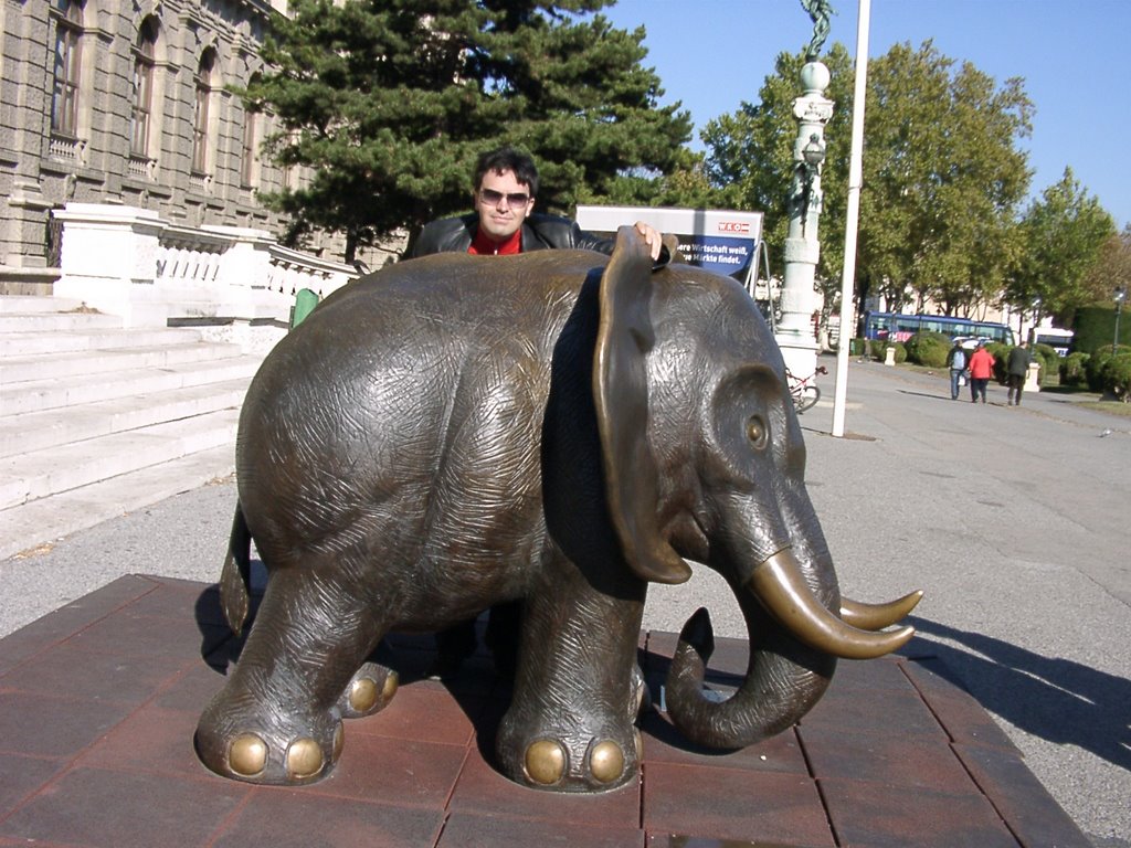 El elefante delante del museo de historia by rafosky