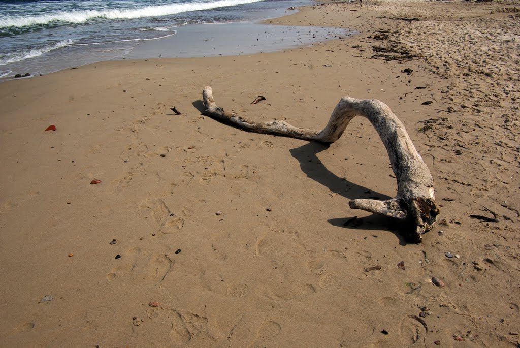 Jastrzębia góra coś na plaży by krzysztof kowalczyk