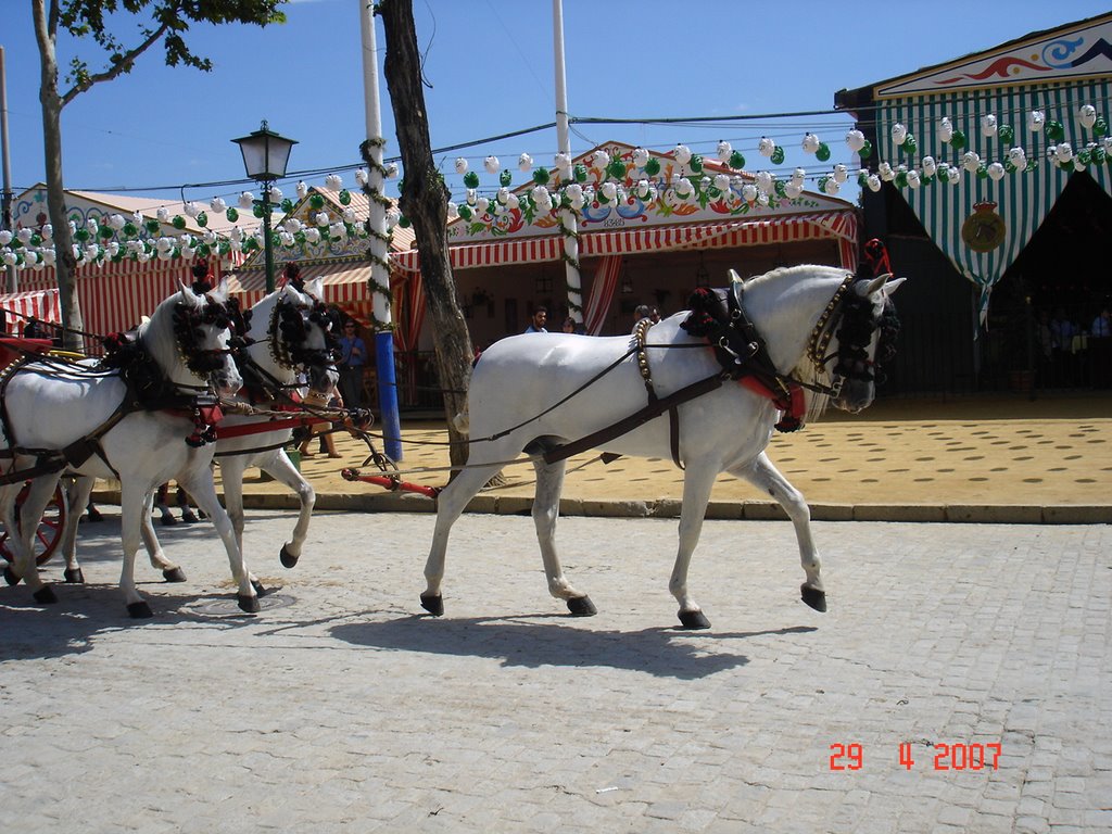 Feria de Sevilla by Anaisso