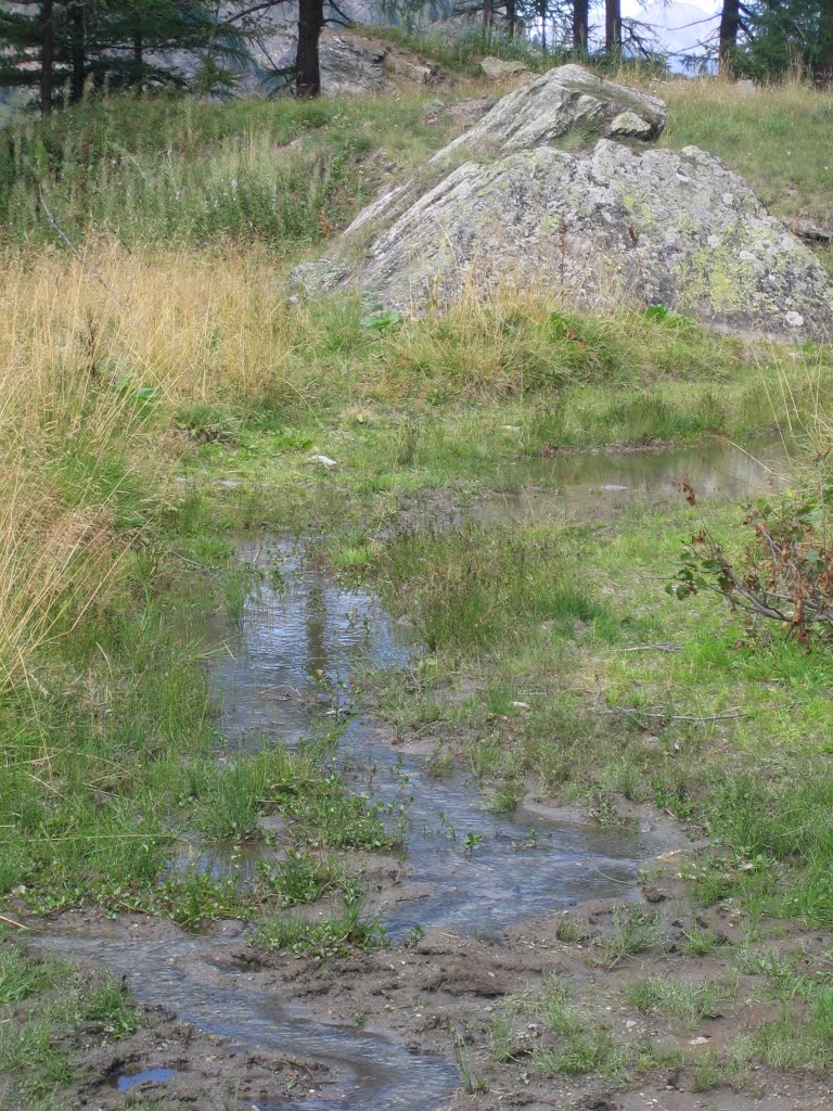 Acqua, water, eau by Margherita