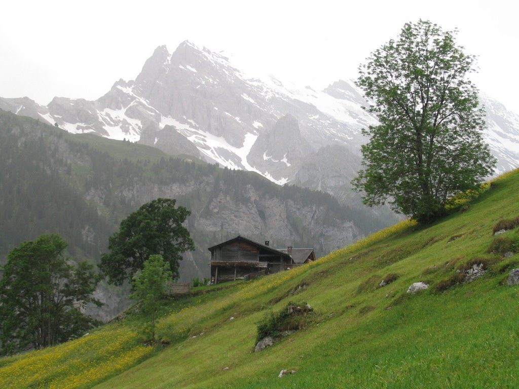 Gimmelwald scenery by SwissGal