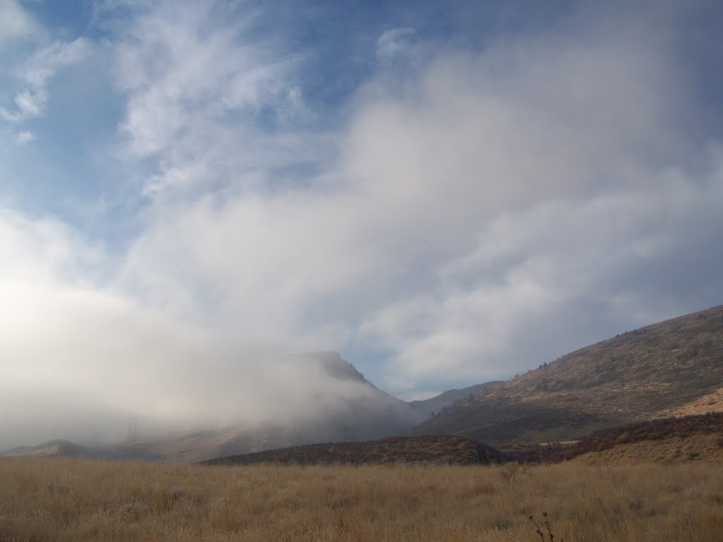 Early morning fog by Rick D.