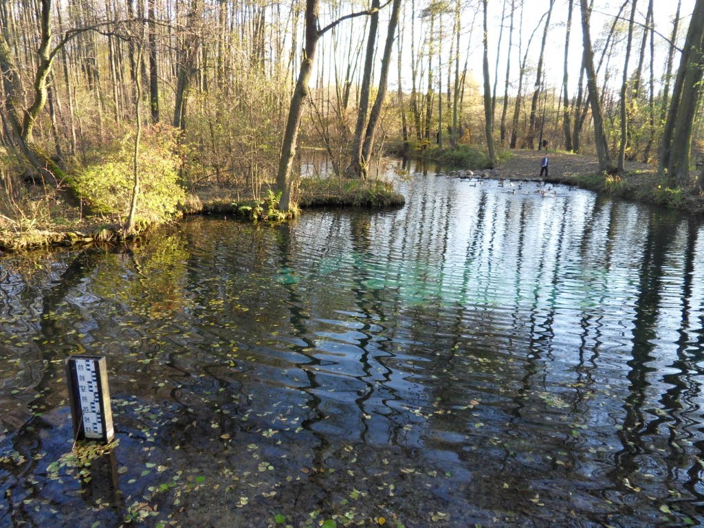 Tomaszów Mazowiecki: rezerwat Niebieskie Źródła by 3ddk