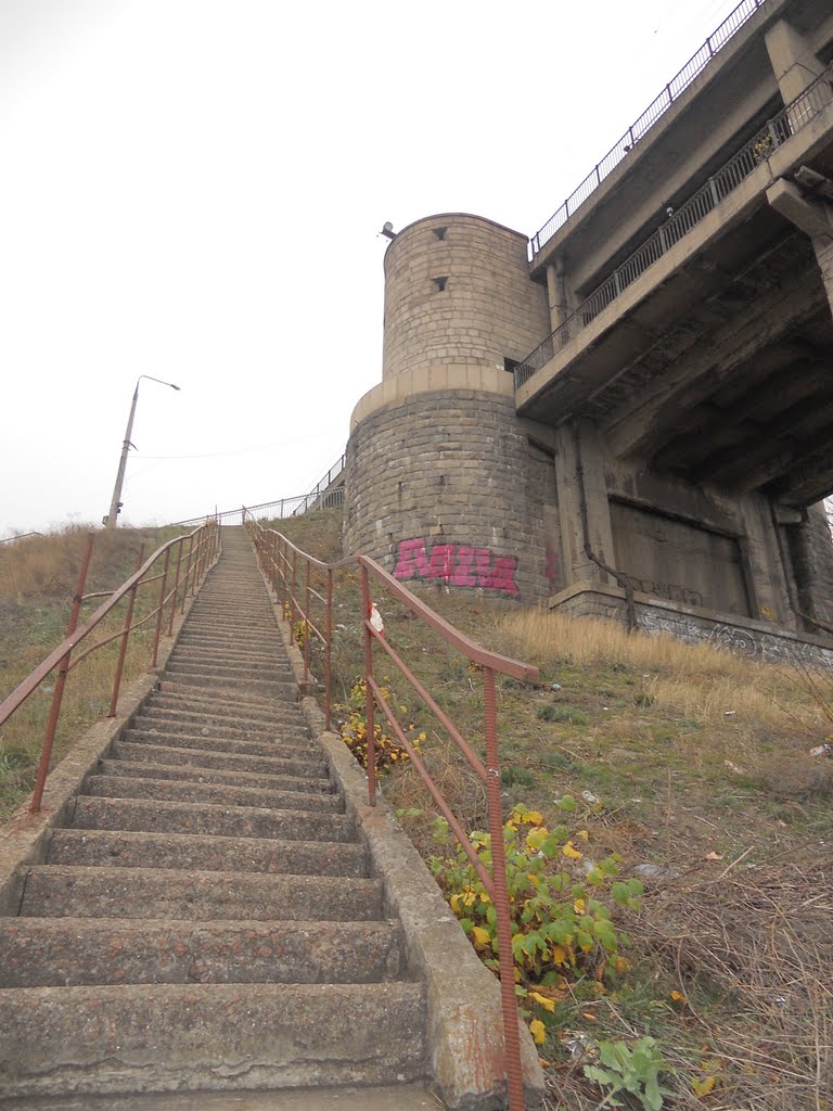 Voznesenivskyi district, Zaporizhia, Zaporiz'ka oblast, Ukraine by tyson