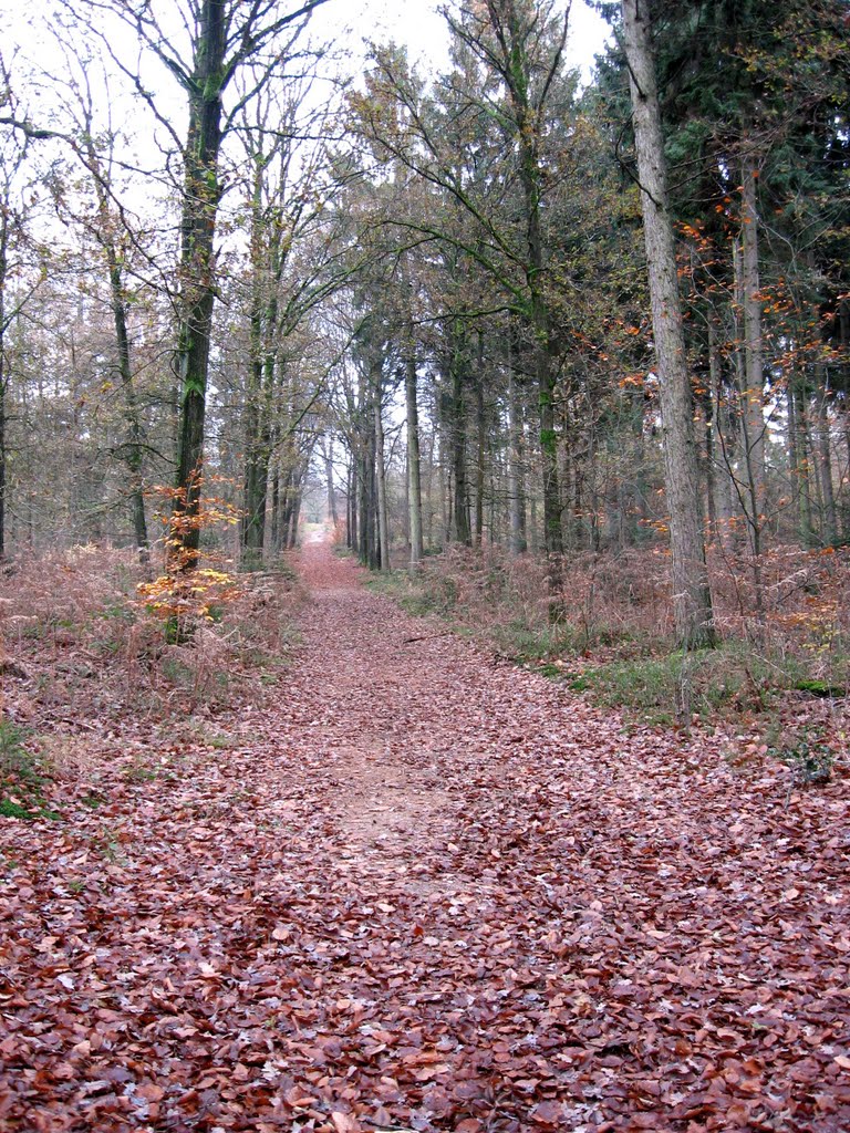 Groot Beekermark bij Kilder 3 by Jos Notten