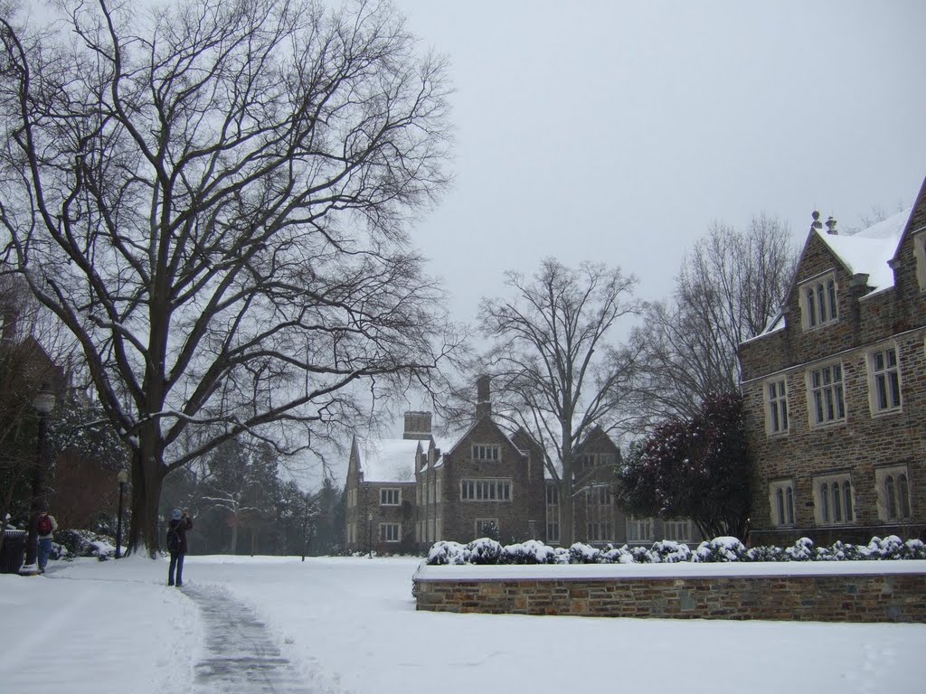 Duke Univ. Research Quad by yang.chihsheng