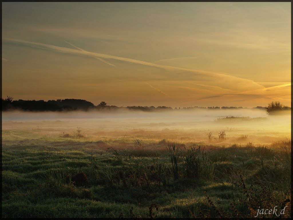 Gmina Brwinów, Poland by jacek d